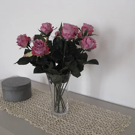 Casa Delle Rose דירה פאדובה